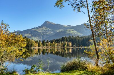 Blick über den Schwarzsee auf den Kitzbüheler Horn Gipfel mit herbstlichen Bäumen im Vordergrund.