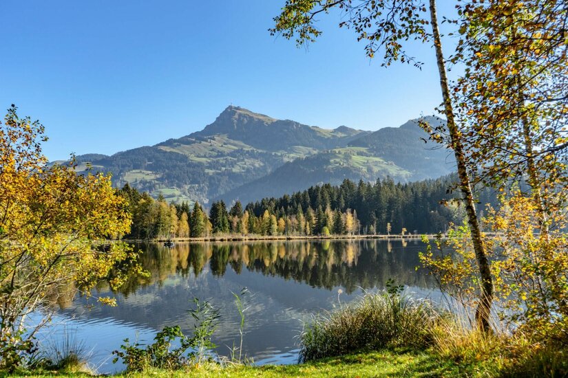 Schwarzsee mit Kitzbüheler Horn Blick über den Schwarzsee auf den Kitzbüheler Horn Gipfel mit herbstlichen Bäumen im Vordergrund.