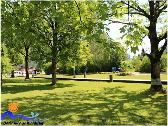 Ein grüner Park mit großen Bäumen und einem gepflegten Rasen. Im Hintergrund sind einige Gebäude und eine gepflegte Umgebung sichtbar.
