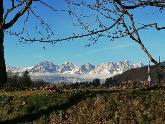 Blick auf den Wilden Kaiser Blick durch kahle Baumzweige auf das schneebedeckte Massiv des Wilden Kaisers unter blauem Himmel.