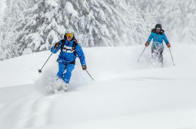 Skifahren im Tiefschnee Zwei Skifahrer in blauer Kleidung fahren durch tiefen Pulverschnee vor verschneiten Nadelbäumen.