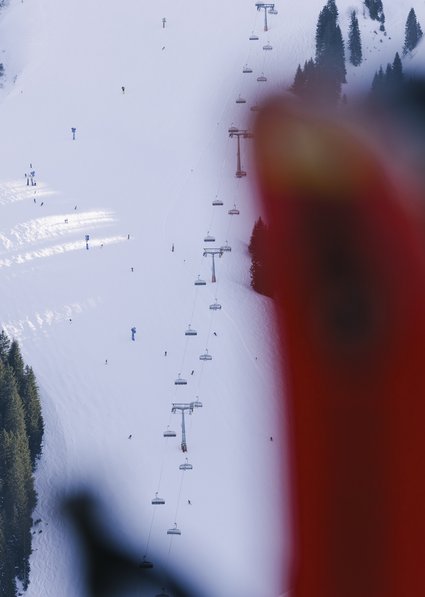 Ski in front of mountain panorama