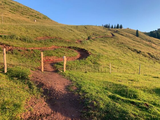 Bike Trail Hahnenkamm Ein schmaler Mountainbike-Trail mit Kurven führt über einen grünen Grashang unter blauem Himmel.
