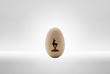 Wooden egg