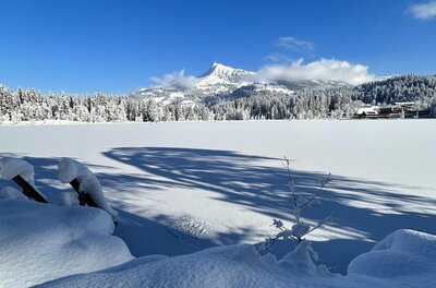 Verschneite Seefläche mit Blick auf einen Nadelwald und einen markanten Berggipfel unter blauem Himmel.