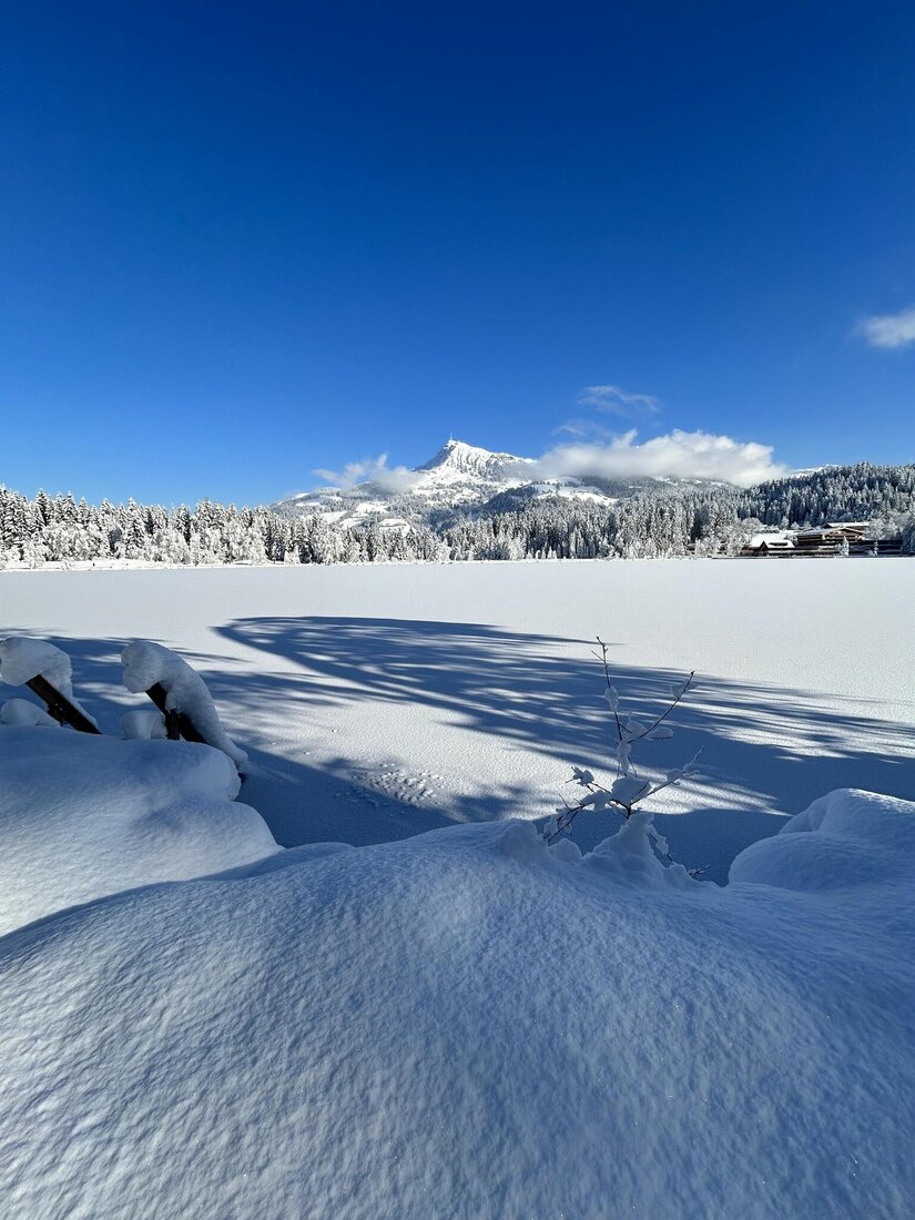 Verschneite Seefläche mit Blick auf einen Nadelwald und einen markanten Berggipfel unter blauem Himmel.