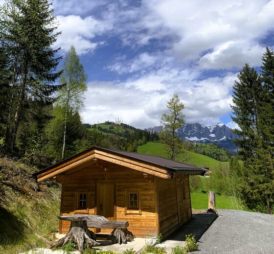 Eine gemütliche Holzhütte umgeben von grünen Wiesen und hohen Bäumen. Im Hintergrund sind majestätische Berge und ein blauer Himmel mit Wolken sichtbar.