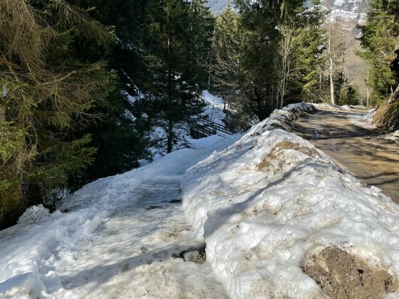 Winterlicher Forstweg der Pocherrunde Verschneiter Waldweg neben einer geräumten Schotterstraße im Nadelwald.