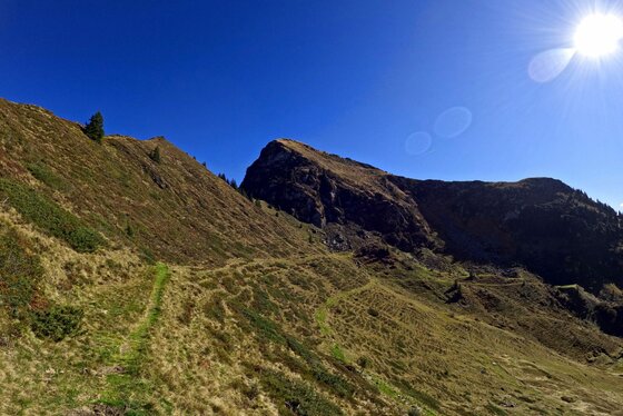 Gebra Trail Bergpfad Schmaler Wanderpfad führt über einen grasbewachsenen Berghang unter blauem Himmel mit Sonnenschein.