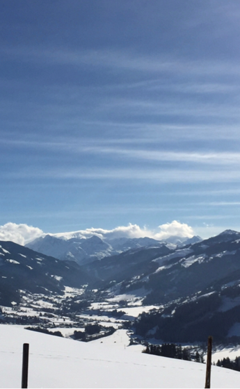 Ausblick