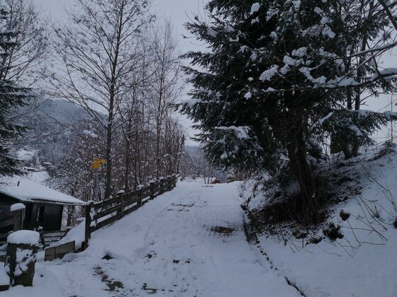 Verschneiter Wanderweg mit Holzzaun und Nadelbäumen im Winter.