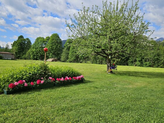 Frühling 1 Ein schöner Garten mit einem blühenden Apfelbaum und bunten Blumen. Die Wiese ist grün und die Wolken am Himmel sind leicht sichtbar.