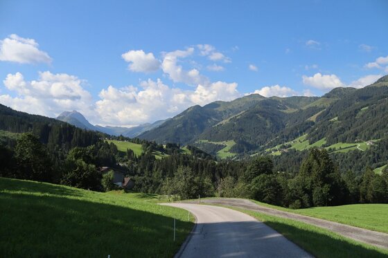 Bergstraße bei der Pengelsteinrunde Asphaltierte Bergstraße führt durch grüne Wiesen und Wälder auf bewaldete Berge unter blauem Himmel zu.