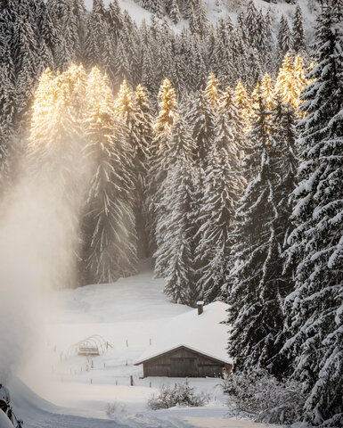 Winterliche Landschaft in Kitzbühel mit schneebedeckten Tannen und einem Holzhaus im Schnee.