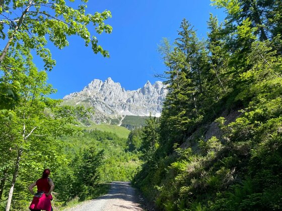 Wanderweg zur Oberen Regalm Wanderweg durch einen Wald mit Blick auf ein schroffes Felsmassiv unter blauem Himmel.