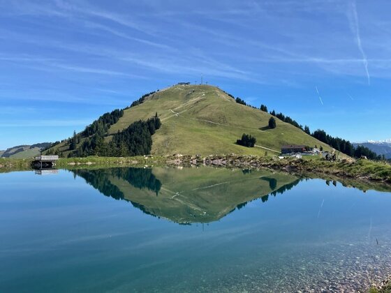 Speicherteich am Berggipfel Ein grasbewachsener Berggipfel spiegelt sich in der glatten Oberfläche eines Speicherteichs unter blauem Himmel.