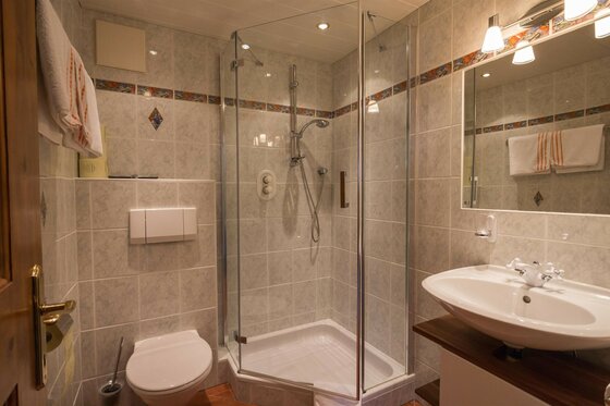 Badezimmer mit Glasdusche, Waschbecken, Spiegel und Toilette in einer Ferienwohnung.