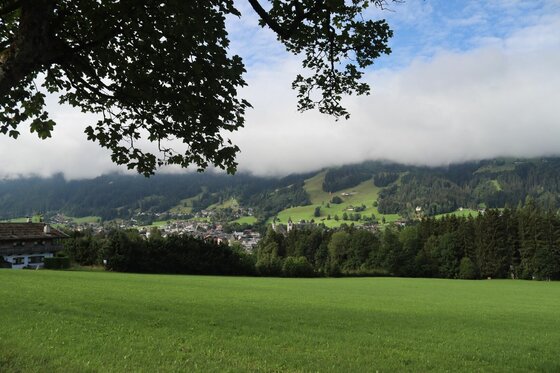 Blick auf das Leukental Blick über eine grüne Wiese auf ein Dorf im Tal vor bewaldeten Bergen unter einer Wolkendecke.