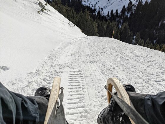 Blick von einem Holzschlitten auf eine präparierte Schneepiste im Gebirge mit Nadelwald im Hintergrund.