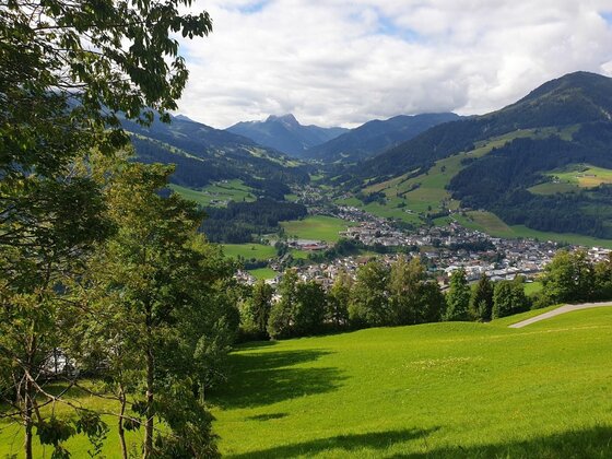 Blick auf Rauher Kopf Blick von einer grünen Wiese auf eine Ortschaft im Tal, umgeben von bewaldeten Bergen unter bewölktem Himmel.