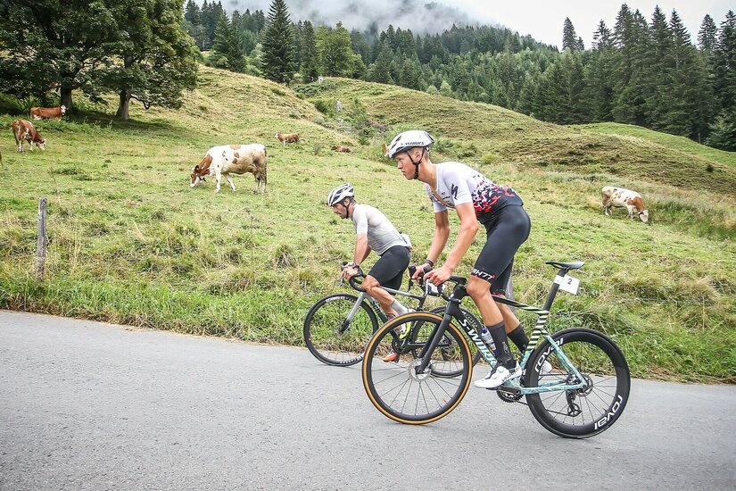 Kitzbüheler Radmarathon 2023 Zwei Rennradfahrer fahren bergauf auf einer Asphaltstraße an einer Almweide mit Kühen vorbei.