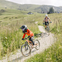 Two mountain bikers on a cycle trail