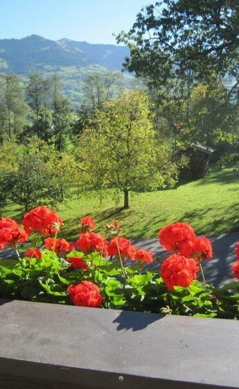 Pension_Feiersinger_Kitzbühel_Blumenschmuck