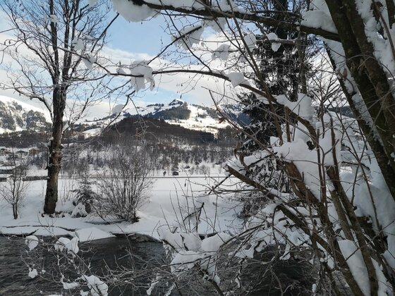 Winterlandschaft am Buchenwald Verschneite Äste im Vordergrund mit Blick auf einen Fluss und schneebedeckte Berge im Hintergrund.