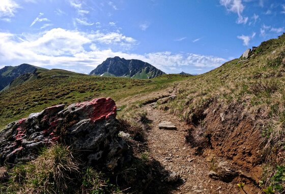 Wanderweg zum Geisstein Schmaler Wanderweg führt über eine grasbewachsene Bergflanke auf einen felsigen Gipfel zu.