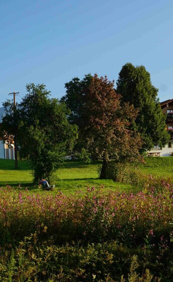 Wandhof Umgebung