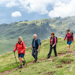 Auf einem grünen Hang wandern vier Freunde, die die Schönheit der Natur und die frische Luft in den Bergen genießen.