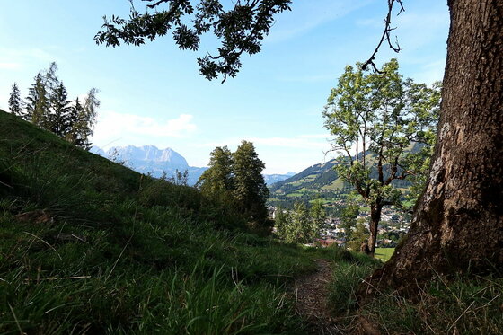 Ausblick Seidlalmrunde Blick von einem bewaldeten Hang auf ein Tal mit Dorf und fernen Bergen unter blauem Himmel.
