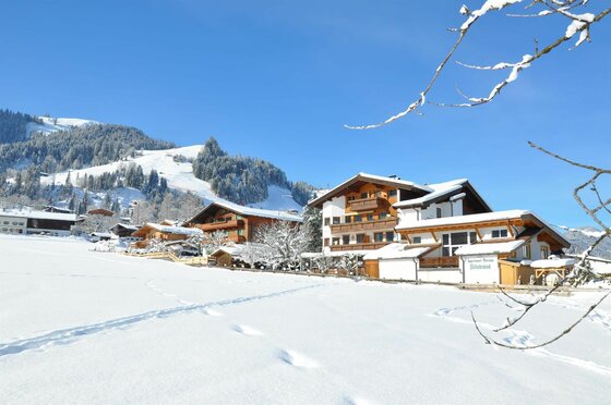 Appartmentpension Hillebrand im Winter Verschneite Alpenhäuser vor bewaldetem Berghang unter blauem Himmel.