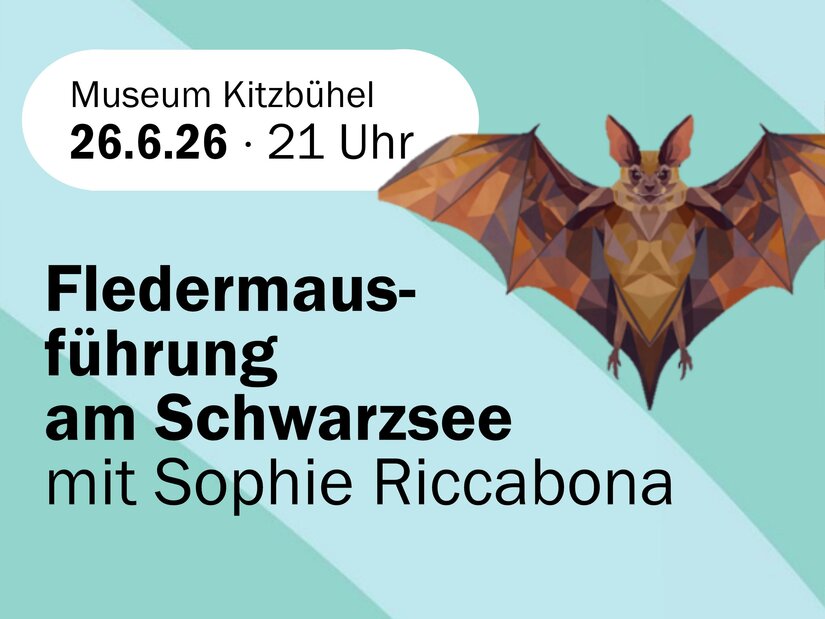 Grafik einer Fledermaus im Polygon-Stil mit Text zur Fledermausführung am Schwarzsee.