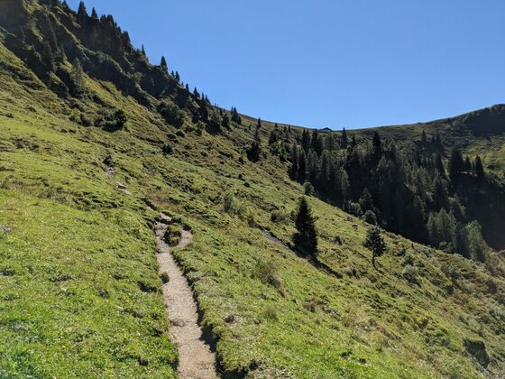 Ein schmaler Wanderpfad führt über einen steilen, grünen Grashang unter blauem Himmel.
