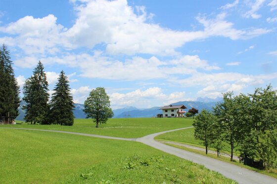 Weggabelung vor Alpenpanorama Asphaltierter Weg gabelt sich auf einer grünen Wiese vor einem Wohnhaus und Bergen unter blauem Himmel.