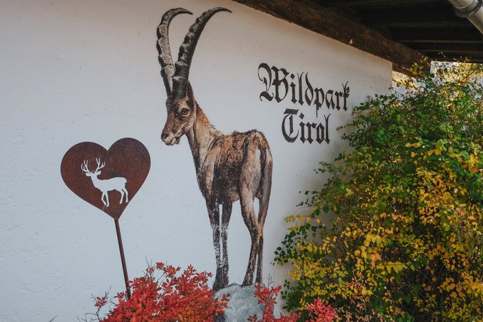 Wall with animal