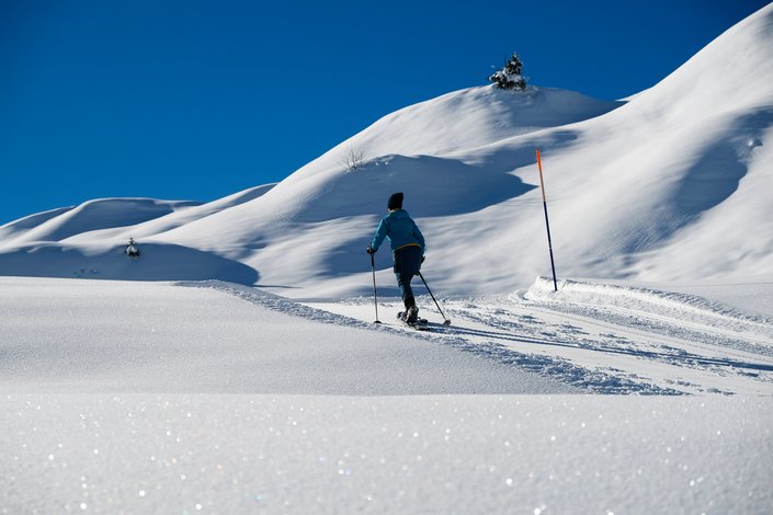 Winterwanderer im Schnee