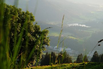 Berg Ausblick 