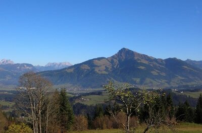 Umgebung Appartement Reichwand Blick über eine Hügellandschaft mit Bäumen auf ein markantes Bergmassiv unter blauem Himmel.