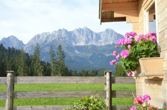 Blick von einer Holzhütte mit Blumenkasten auf eine grüne Wiese und ein markantes Felsmassiv.