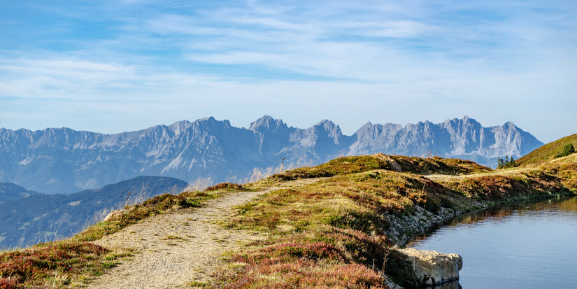 Ein malerischer Wanderweg schlängelt sich durch die herbstlichen Wiesen mit Blick auf majestätische Berge im Hintergrund.