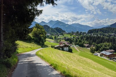 Asphaltierter Weg führt an grünen Wiesen und Häusern vorbei auf ein Bergpanorama zu.