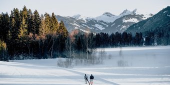Cross-Country Skiing
