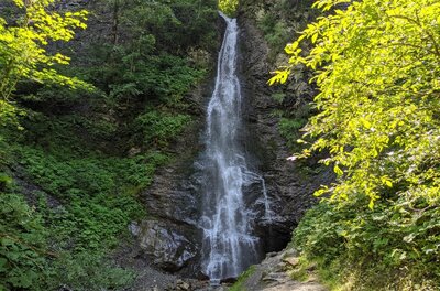 Schleierwasserfall im Wald Ein schmaler Wasserfall stürzt über eine dunkle Felswand inmitten von grünem Laubwald.