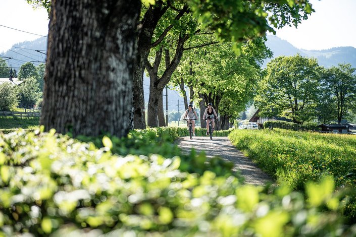 Allee Bäume und Radfahrer am Schwarzsee