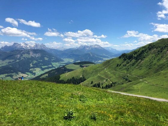 Panorama am Harschbichl Blick von einer grünen Almwiese auf ein weites Gebirgspanorama mit Wanderwegen unter blauem Himmel.