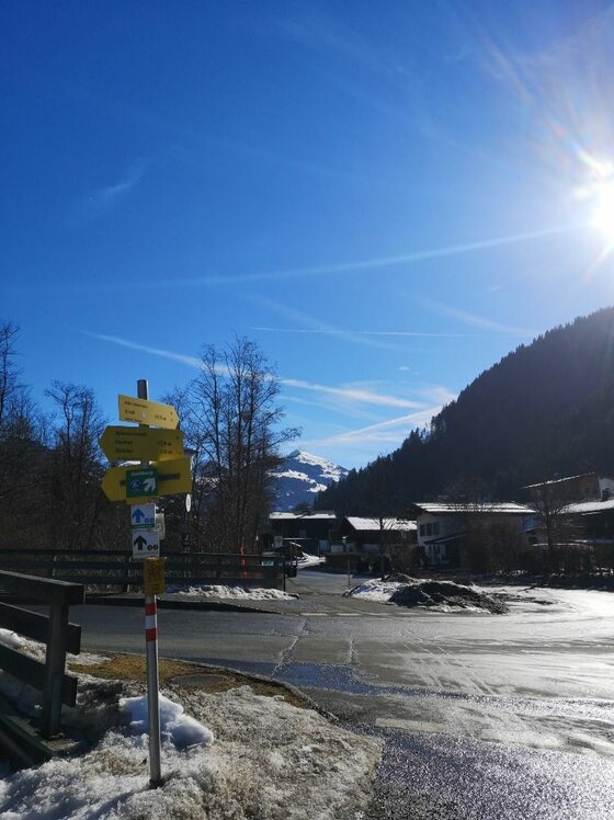 Wegweiser in Buchenwald Gelbe Wegweiser an einer Straße im Winter vor Bergen und blauem Himmel.