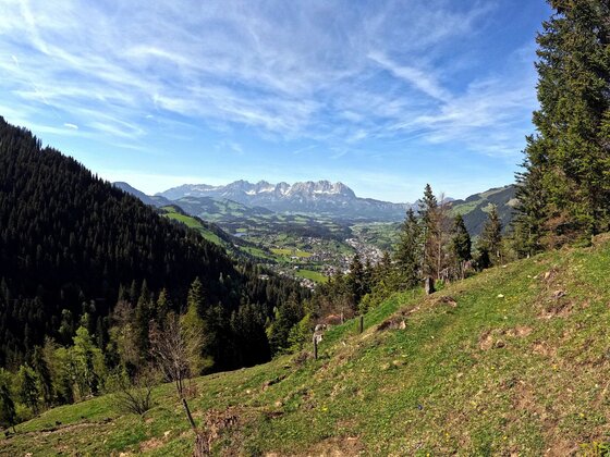 Aussicht vom Gschwandbaum Blick von einem bewaldeten Berghang auf ein grünes Tal mit einer Ortschaft und felsigen Berggipfeln im Hintergrund.