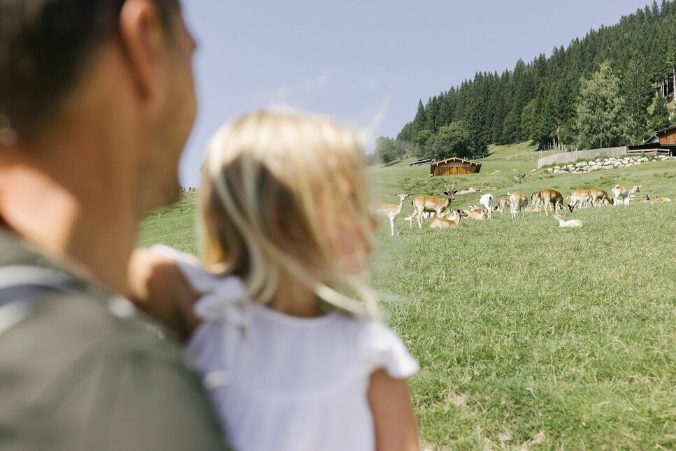 Aurach Wildlife Park – Experience Animals Up Close